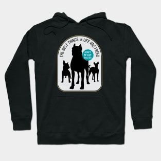 Adopt Rescue Foster Hoodie